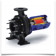 Herborner Pompen Uniblock F-PM gecoatezwembad pomp met permanent magneet motor